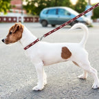 Pets First Alabama Crimson Tide Satin Nylon Dog Leash
