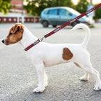 Pets First Atlanta Falcons Satin Nylon Dog Leash