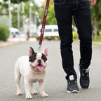 Pets First Atlanta Falcons Satin Nylon Dog Leash