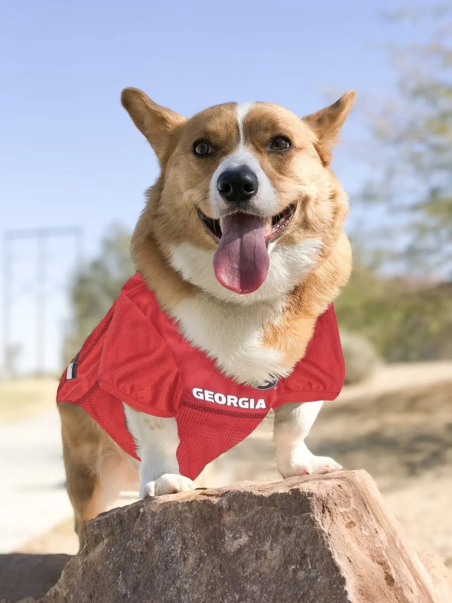 Pets First Georgia Bulldogs NCAA Mesh Pet Jersey