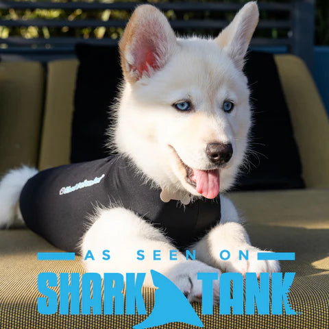 Shed Defender Onesie for Dogs | Recovery