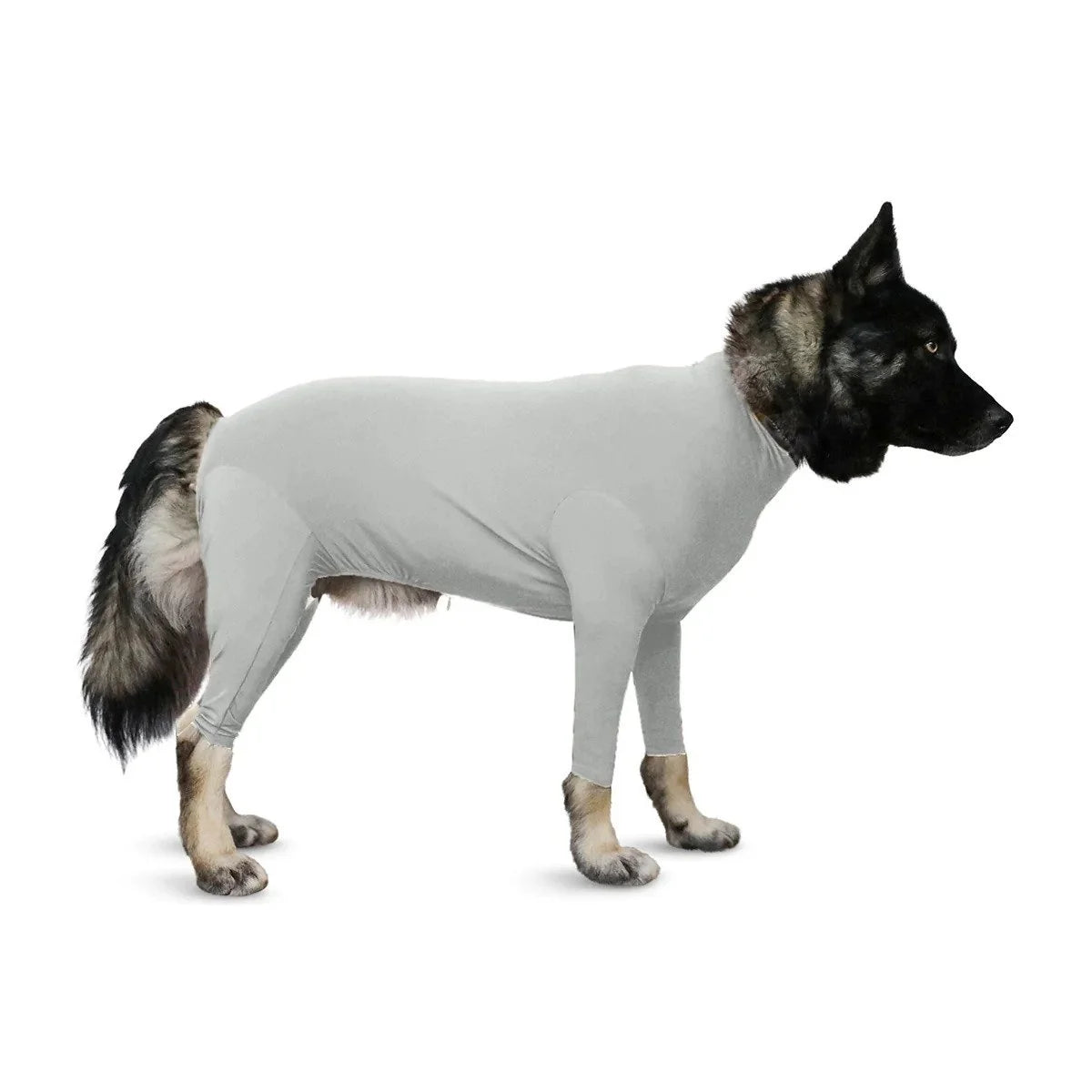 Shed Defender Onesie for Dogs | Sport