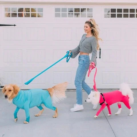 Shed Defender Onesie for Dogs | Sport