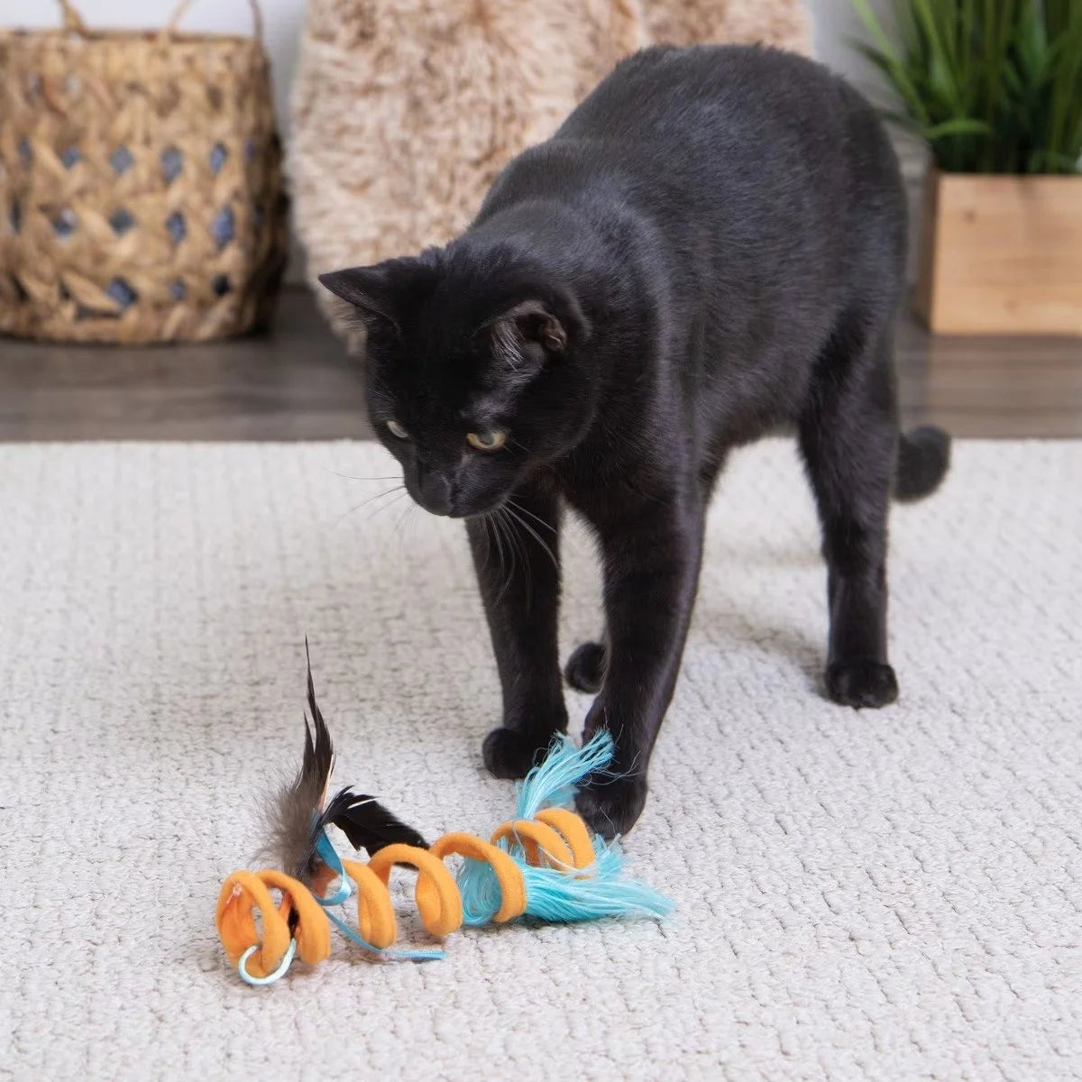 Crazy Coil Cat Toy