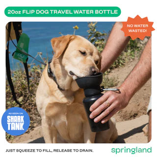 Springland Pets 20 oz Flip Dog Water Bottle | Black