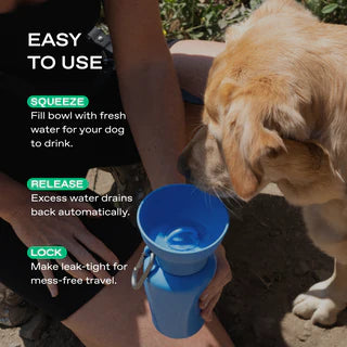 Springland Pets 20 oz Flip Dog Water Bottle | Blueberry