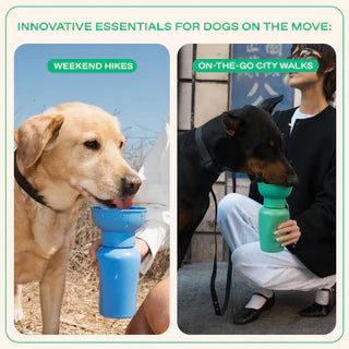 Springland Pets 20 oz Flip Dog Water Bottle | Blueberry