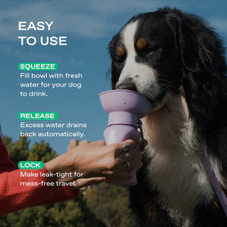 Springland Pets 20 oz Flip Dog Water Bottle | Black