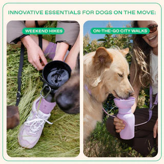 Springland Pets 20 oz Flip Dog Water Bottle | Black