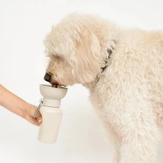 Springland Pets 20 oz Flip Dog Water Bottle | Oat