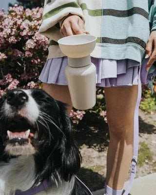 Springland Pets 20 oz Flip Dog Water Bottle | Oat