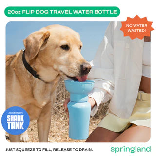 Springland Pets 20 oz Flip Dog Water Bottle – Sky Blue
