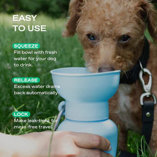 Springland Pets 20 oz Flip Dog Water Bottle – Sky Blue
