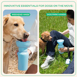 Springland Pets 20 oz Flip Dog Water Bottle – Sky Blue