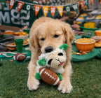 Dog playing with a toy at a tailgating event with food and decorations.