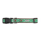 The Worthy Dog Football Field Dog Collar