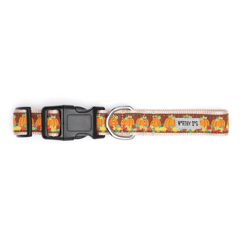 The Worthy Dog Pumpkin Patch Dog Collar