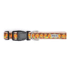 The Worthy Dog Pumpkin Patch Dog Collar
