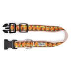 The Worthy Dog Pumpkin Patch Dog Collar