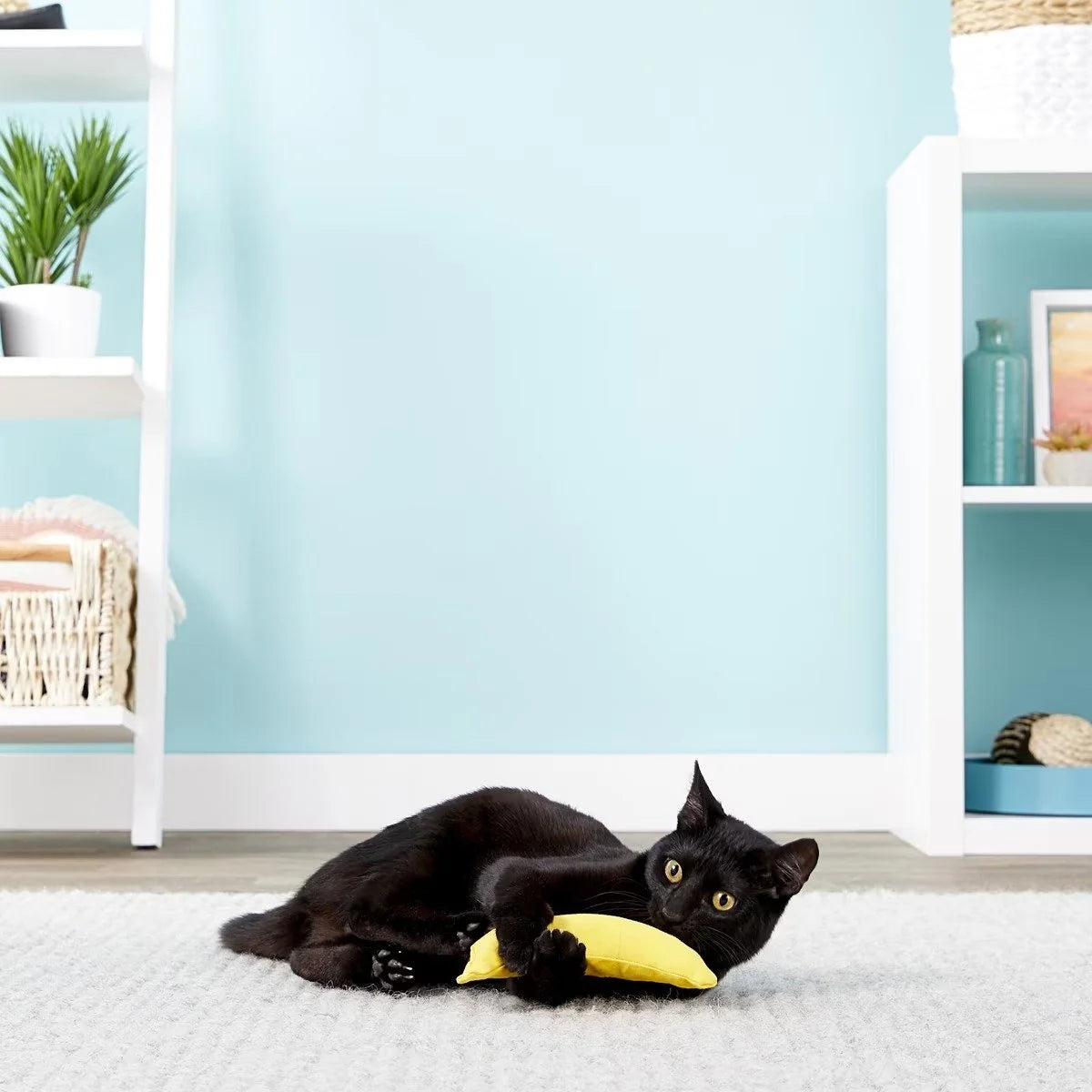Yellow Banana Catnip Toy
