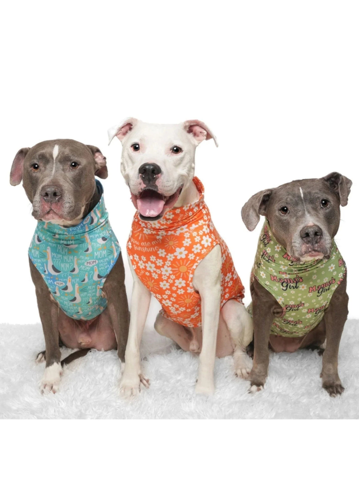 You Are My Sunshine Muscle Tee