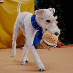 BARK More S’mores plush dog toy with golden graham cracker layers, white marshmallow filling, and a brown chocolate layer.