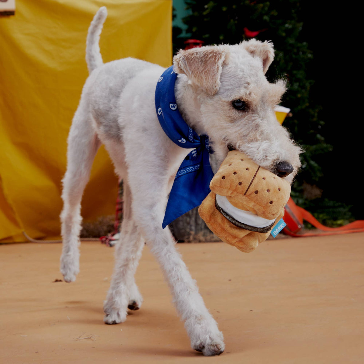 BARK More S’mores plush dog toy with golden graham cracker layers, white marshmallow filling, and a brown chocolate layer.