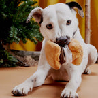 BARK More S’mores plush dog toy with golden graham cracker layers, white marshmallow filling, and a brown chocolate layer.