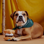 BARK More S’mores plush dog toy with golden graham cracker layers, white marshmallow filling, and a brown chocolate layer.