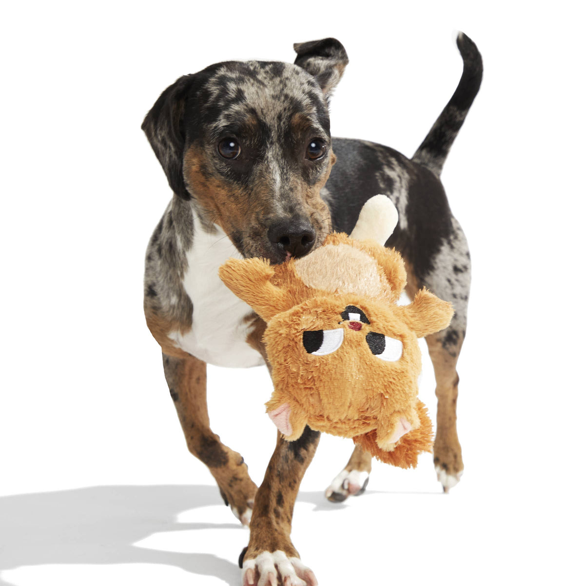 BARK Pearl Squirrel plush dog toy with golden-brown fur, a cream belly and feet, pink inner ears, and a fluffy tail.