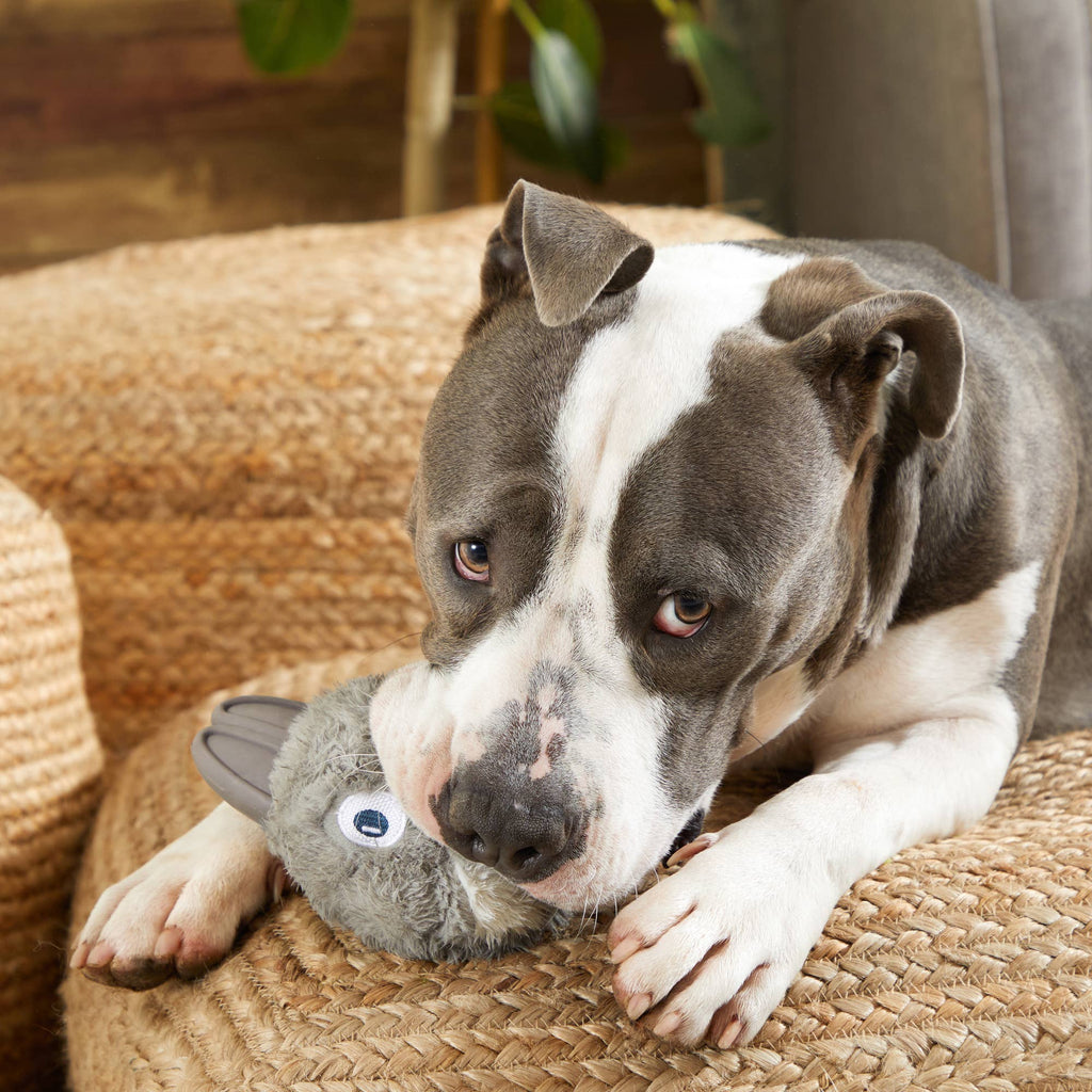 Gray BARK Hare Raiser rabbit dog toy with upright rubber ears, blue embroidered eyes, a fluffy white belly, and a rounded body.