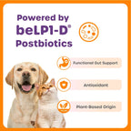 Dog and cat beside Choolip’s beLP1-D postbiotics graphic with gut support, antioxidant, and plant-based origin callouts.