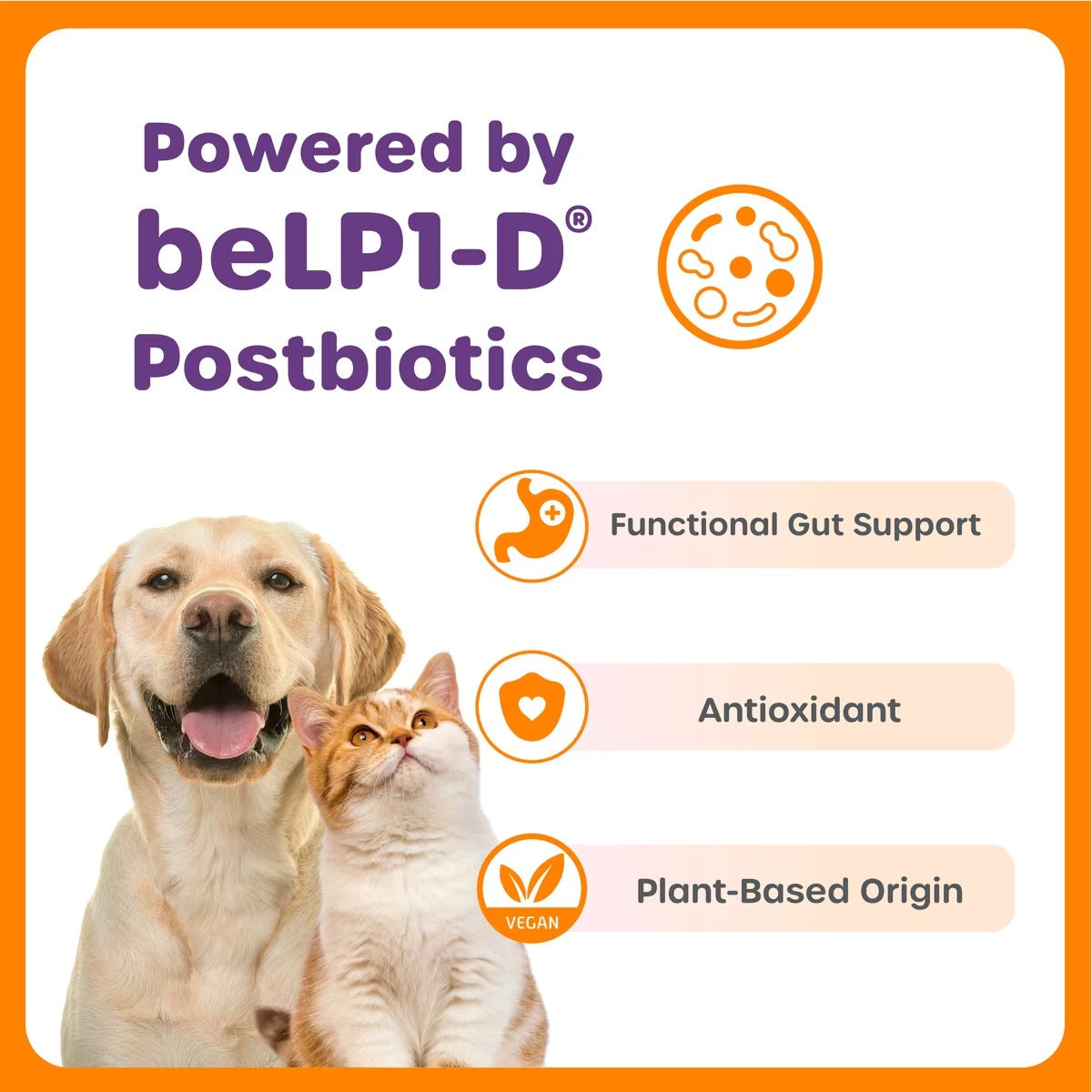 Dog and cat beside Choolip’s beLP1-D postbiotics graphic with gut support, antioxidant, and plant-based origin callouts.