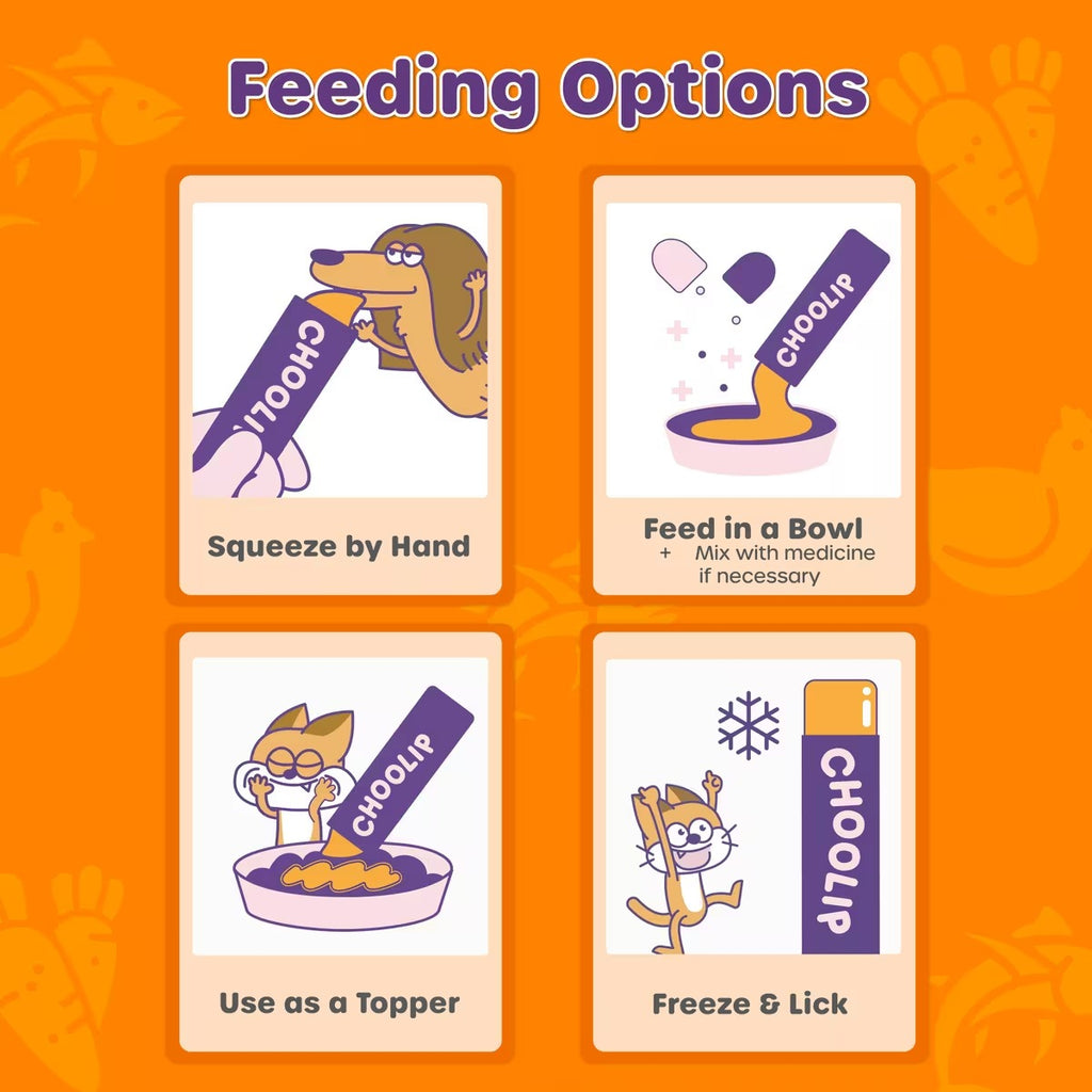 Illustrated Choolip serving options showing hand-feeding, serving in a bowl, adding as a food topper, and freezing.