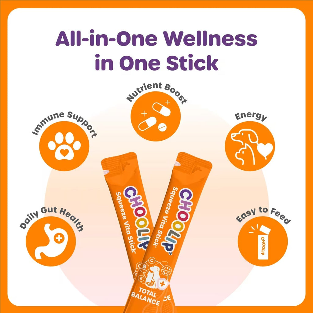 Two orange Choolip Total Balance sticks surrounded by icons describing nutrients, energy, immune support, gut health, and easy feeding.