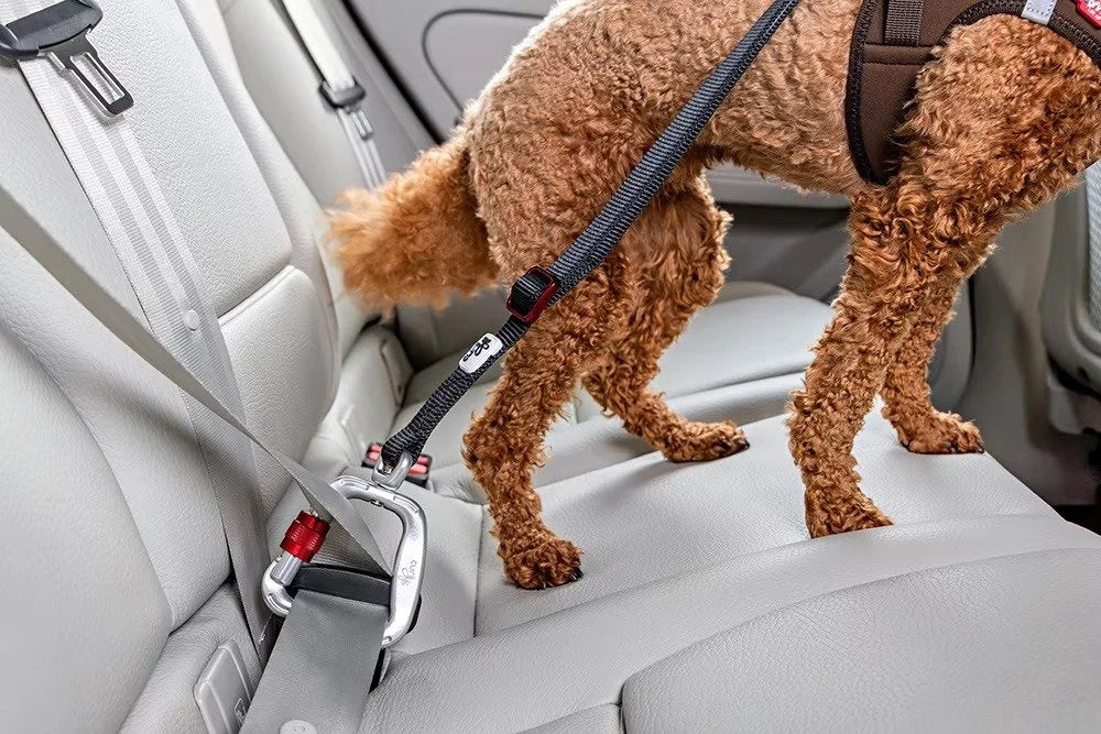 Curli Swivel Dog Car Safety Belt