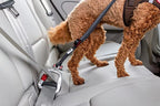 Curli Swivel Dog Car Safety Belt