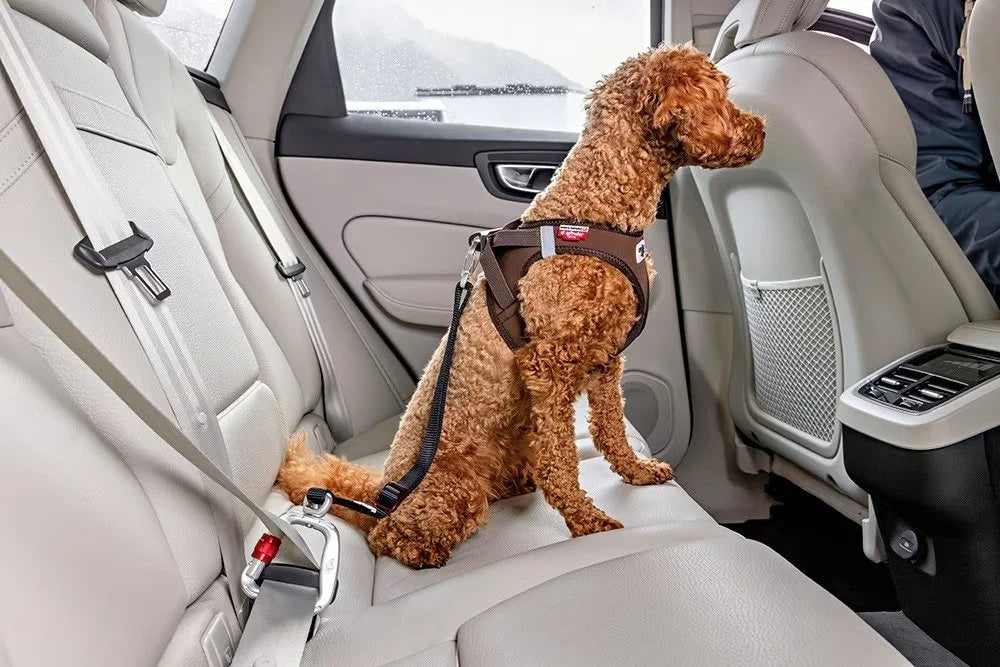 Curli Swivel Dog Car Safety Belt