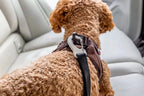 Curli Swivel Dog Car Safety Belt