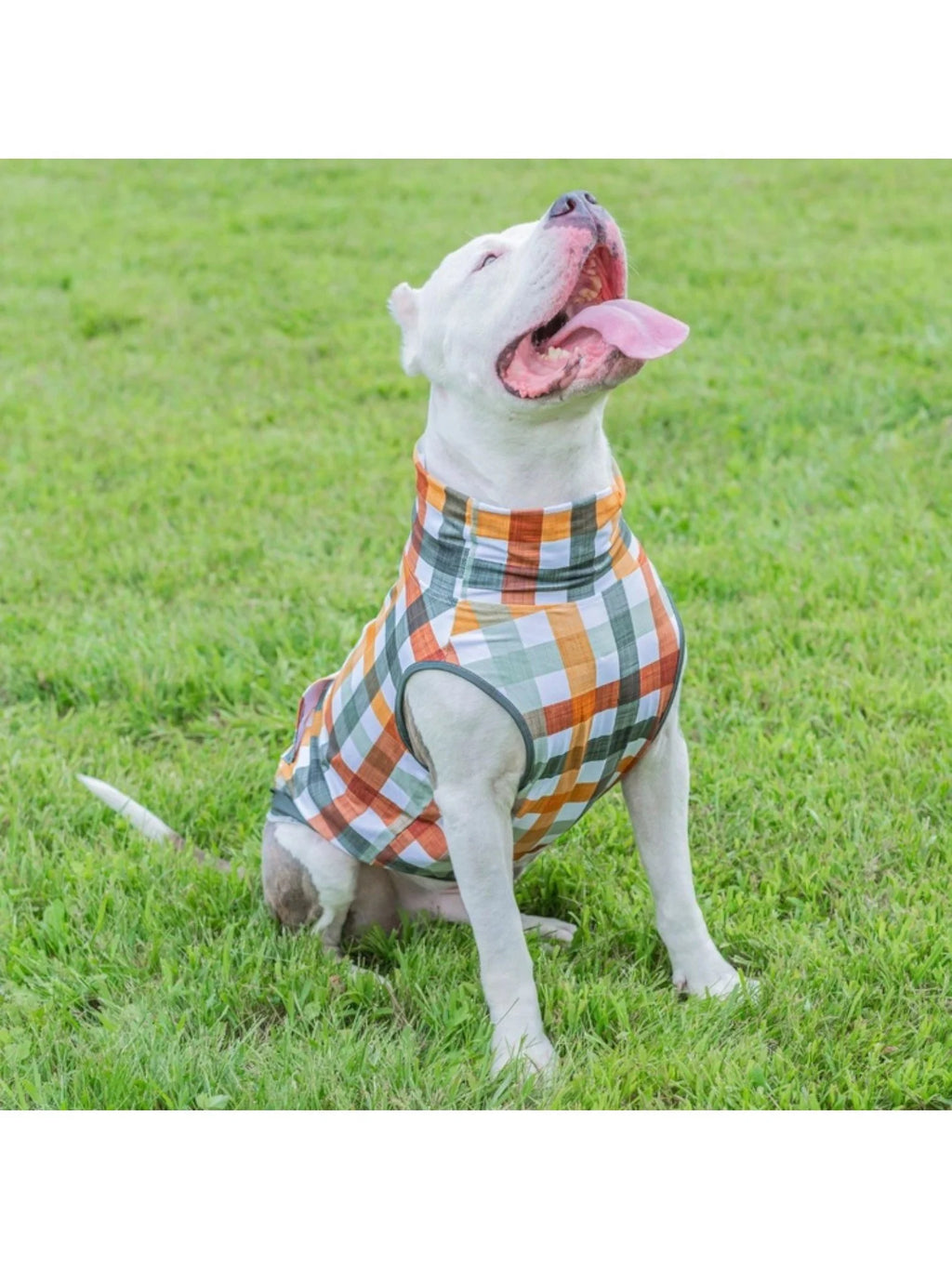Woofland Woods Muscle Tee