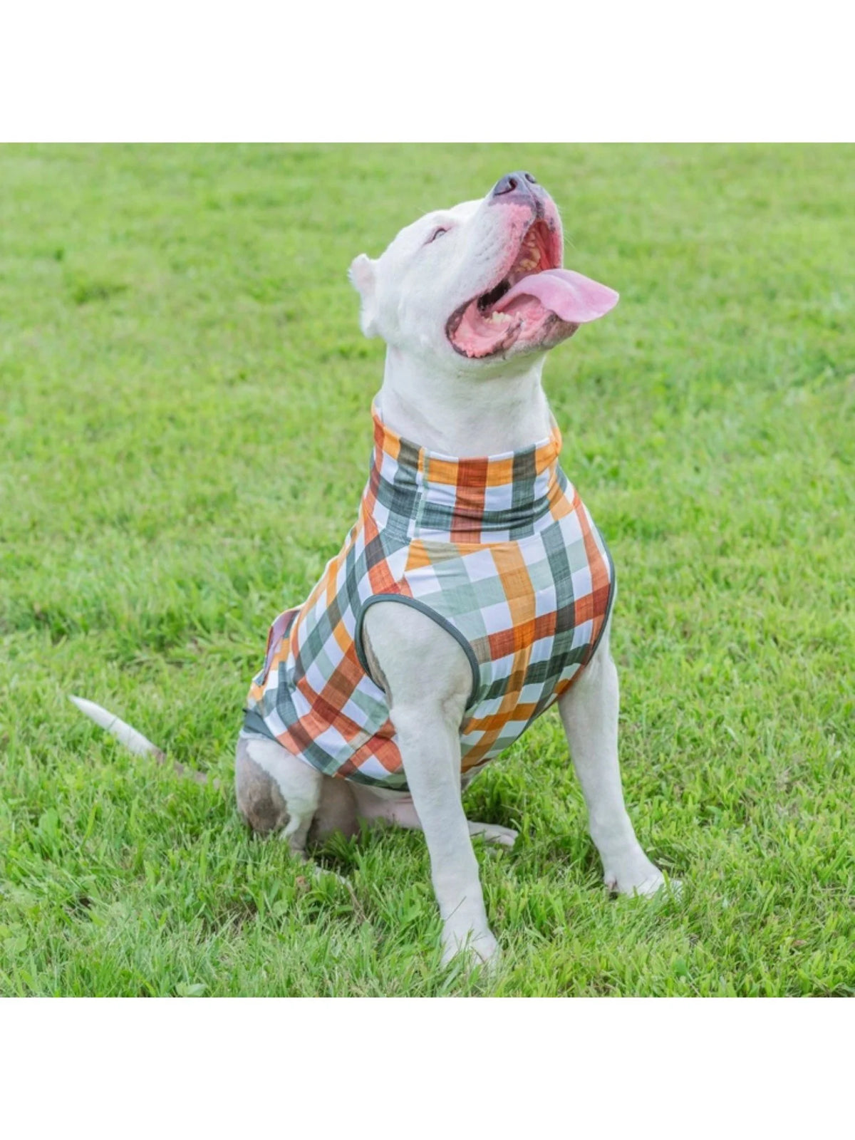 Woofland Woods Muscle Tee
