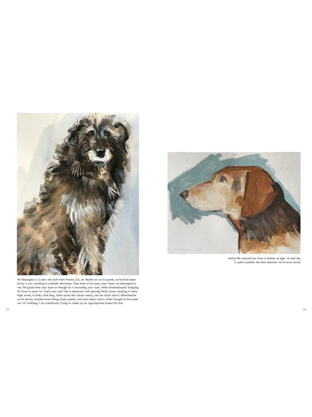 Rescue Dogs: Sally Muir