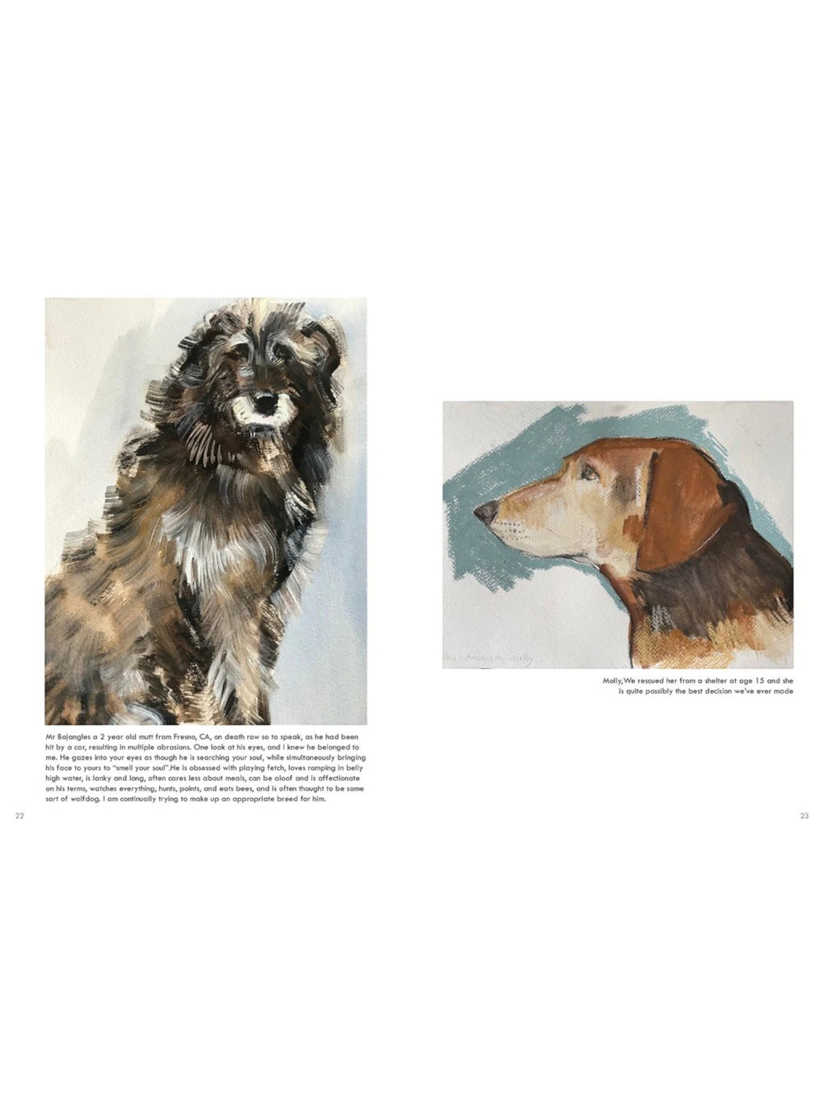 Rescue Dogs: Sally Muir