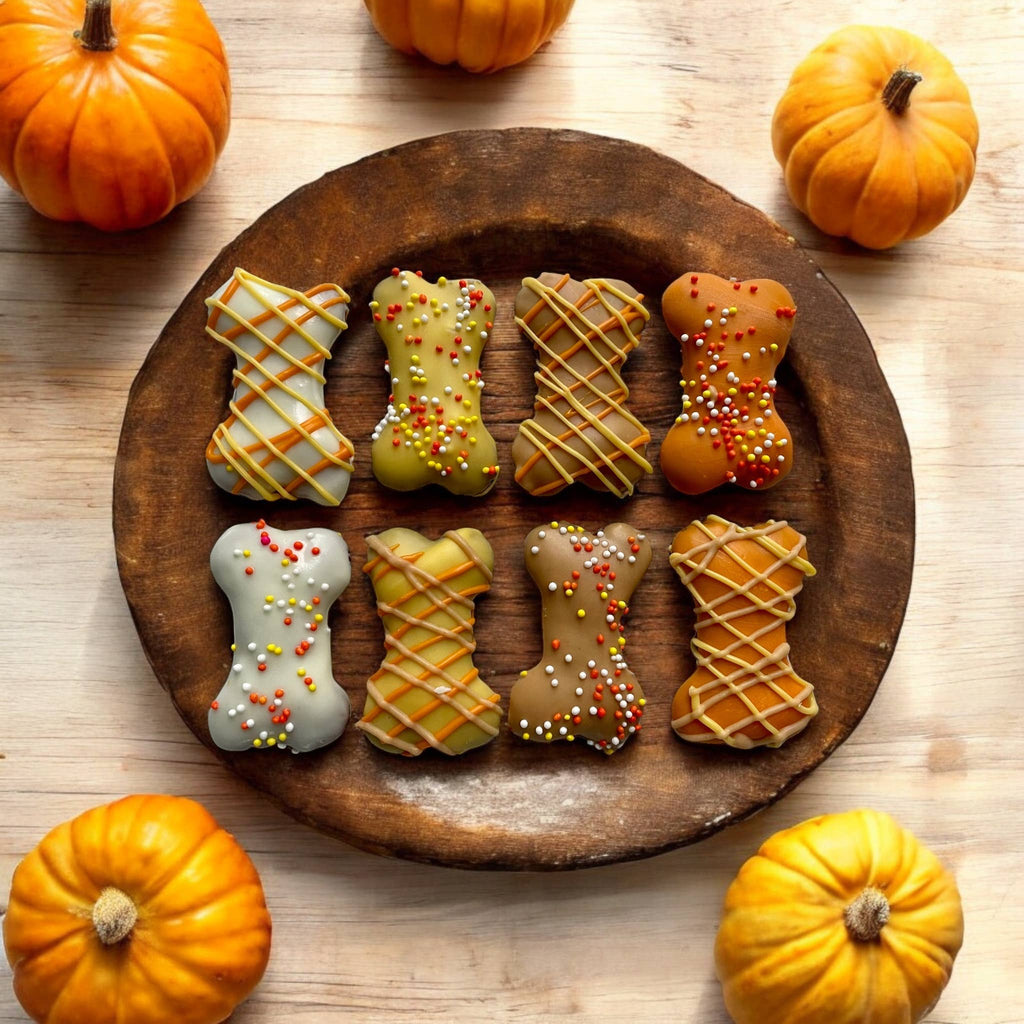 Eight mini bone-shaped dog cookies with fall-colored coatings, drizzle, and sprinkles on a wooden tray surrounded by pumpkins.