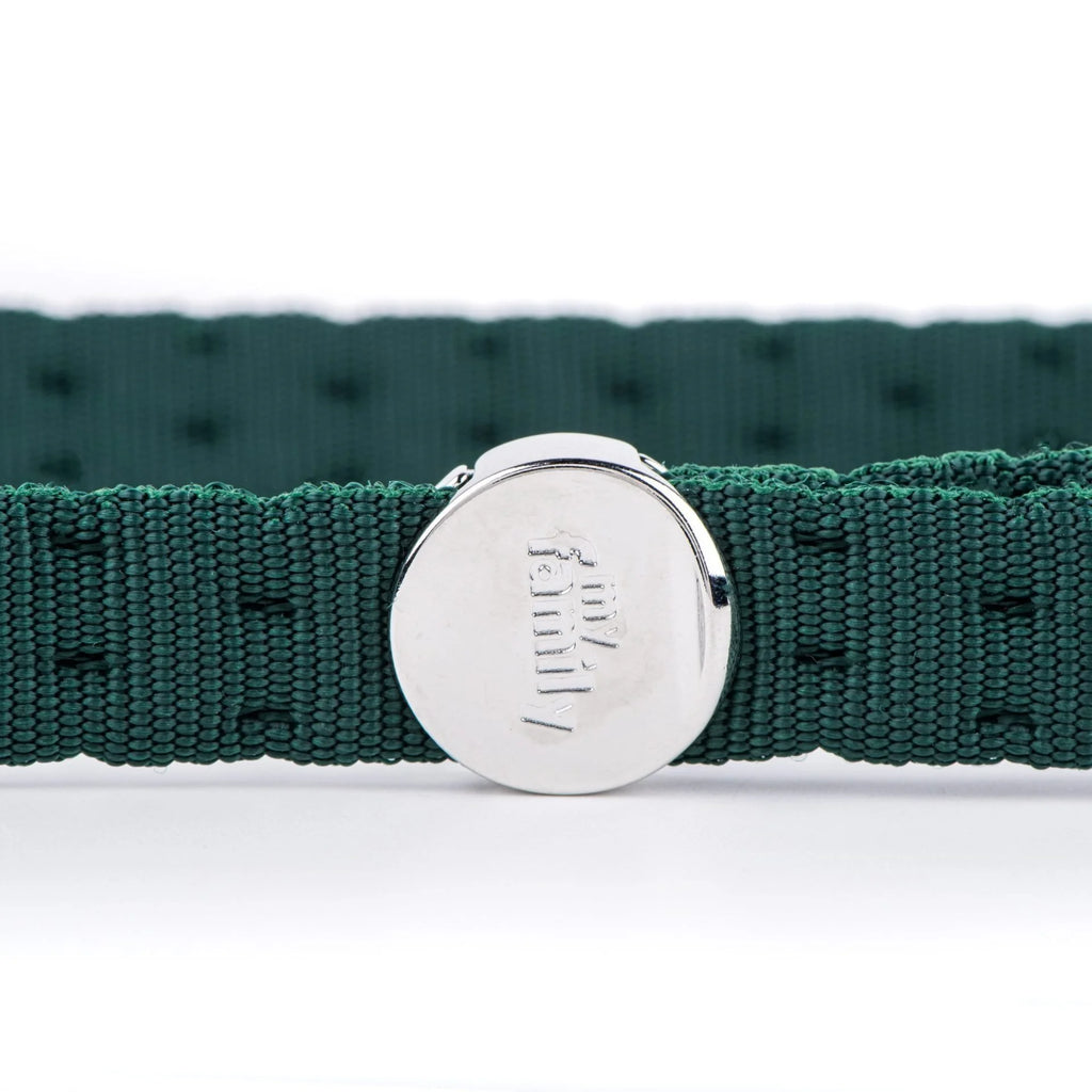 MyFamily Milano Green Italian Nylon Dog Leash
