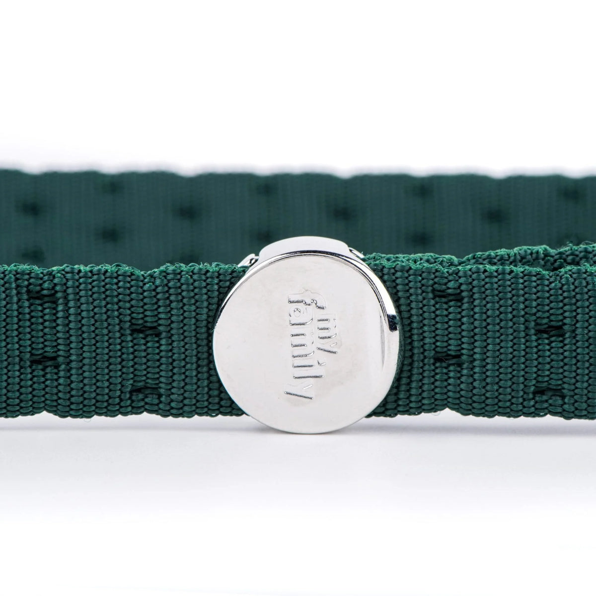 MyFamily Milano Green Italian Nylon Dog Leash