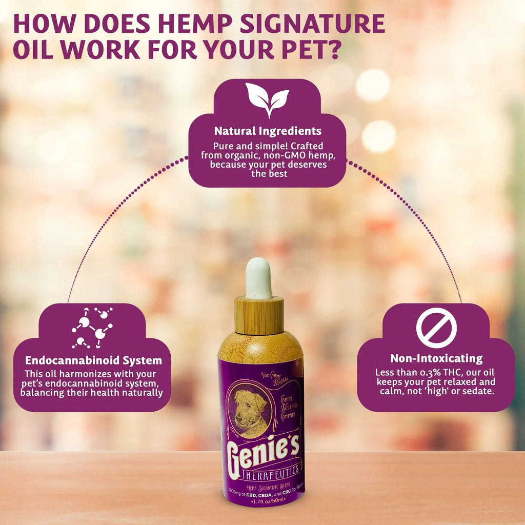 Genie’s Hemp Signature CBD Oil for Dogs