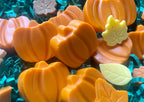 Orange pumpkin-shaped Pupkin Truffles dog treats arranged with colorful leaf-shaped treats on teal shredded paper.