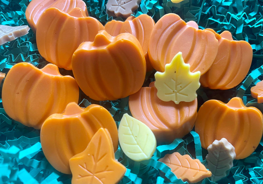 Orange pumpkin-shaped Pupkin Truffles dog treats arranged with colorful leaf-shaped treats on teal shredded paper.