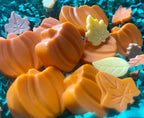 Orange pumpkin-shaped Pupkin Truffles dog treats arranged with colorful leaf-shaped treats on teal shredded paper.
